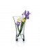 Vaza gėlėms 25 cm, stiklas, išlenktai platėjanti, RONA (Slovakija)